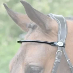 Frontal verni rond Jump in