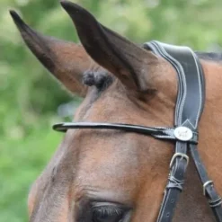 Frontal verni rond Jump in