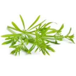 Gaillet gratteron 1kg - Horse Remedy