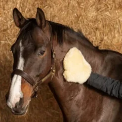 Gant De Pansage Merino Harry's Horse