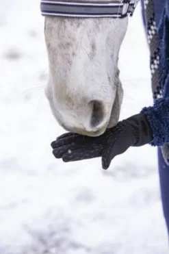 Gants Hiver Digital Equithème