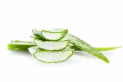 Gel d'Aloe Vera - ESC LABORAOIRE