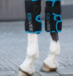 Genouillères Ice-Vibe by Horseware