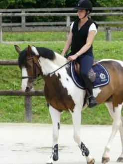 Gilet airbag Belair adulte Allshot