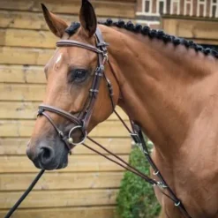 Gogue - Collection One - Jump'in