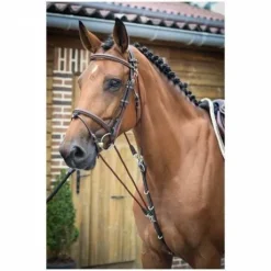 Gogue - Collection One - Jump'in