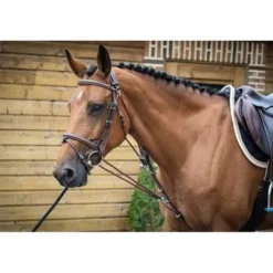 Gogue - Collection One - Jump'in