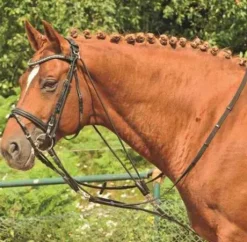 Gogue cuir et polyester - HKM