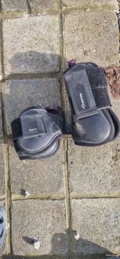 Guetre et protège boulet