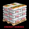 Guidolin Energy Horses palette 48 sacs