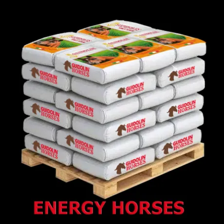 Guidolin Energy Horses palette 48 sacs