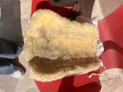 Guêtre cwd vrai mouton