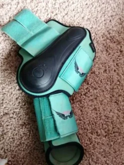 Guêtres + protèges boulet (licol offert)