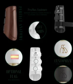 Guêtres antérieurs Royal Gatusos