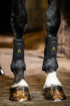 Guêtres de protection Adagio - Horseware - légères et respirantes