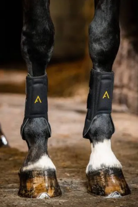 Guêtres de protection Adagio - Horseware - légères et respirantes