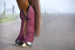 Guêtres de transport Rambo - Horseware - haute qualité