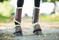 Guêtres Equestrian Stockholm - Champagne