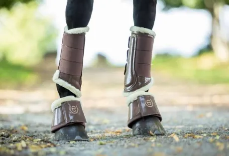 Guêtres Equestrian Stockholm - Champagne