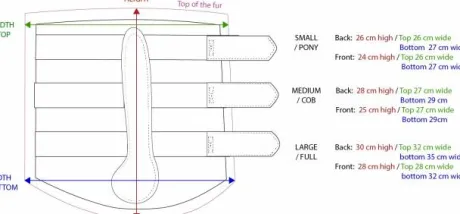 Guêtres Equestrian Stockholm - Champagne