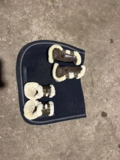 Guêtres et protèges boulets Veredus