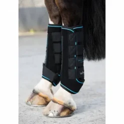 Guêtres Ice Vibe - Horseware