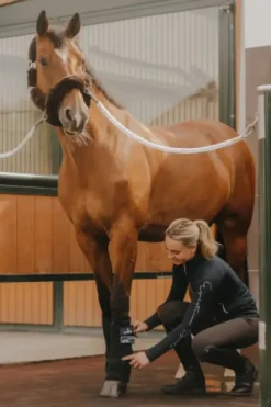 Guêtres refroidissantes Cryo - Kentucky