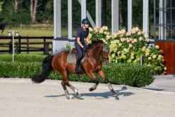 Guêtres Softshell Classic Sports 2025 - Eskadron