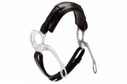 Hackamore - Stübben