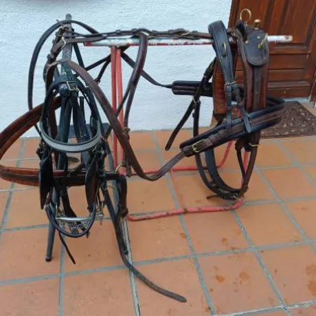 harnais attelage cuir petit cheval
