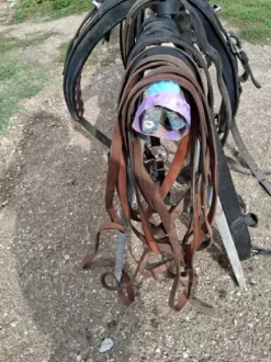 Harnais cheval de trait