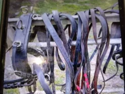 Harnais marathon en paire taille poney