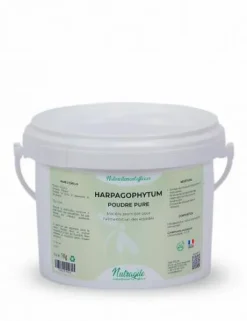 Harpagophytum Poudre - Nutragile