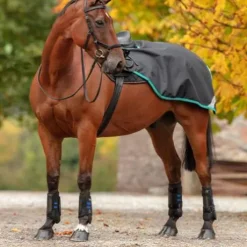 Horseware Couvre-reins Amigo Competition Sheet
