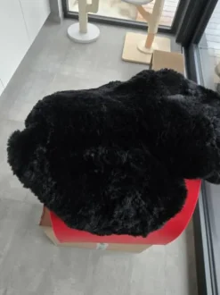 Housse de selle western