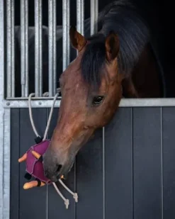 Jouet d'écurie ballon à carottes - QHP - matériaux durables