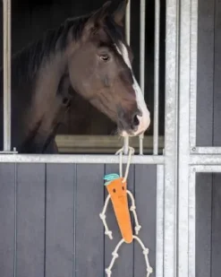 Jouet de box carotte - QHP - suède et fibre de coco