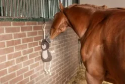 Jouet de boxe Ours - Kerbl
