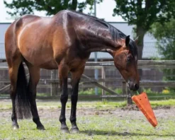 Jouet de boxe xl carotte - QHP - suède, fibre de coco