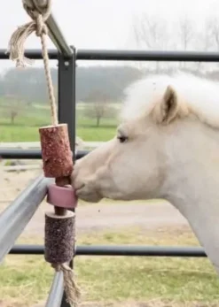 Jouet en bois relaxant avec pierre à sel sammy - Kentucky