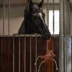 Jouets de box valentine ours - QHP - durable et écologique