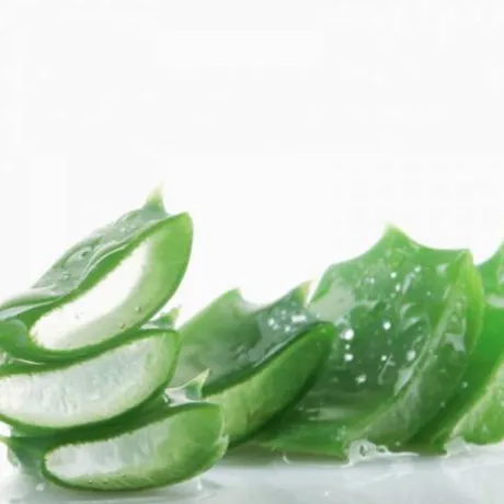 Jus d'Aloé Vera - Horse Remedy