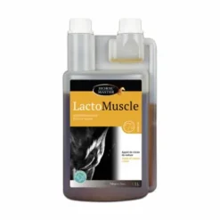 LACTOMUSCLE - Neutraliser les acides lactiques Horse Master