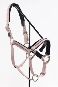 Licol + longe Amour - Harcour - Réglable et durable