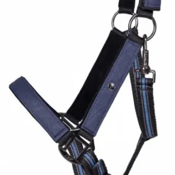 Licol + Longe AW24 QHP