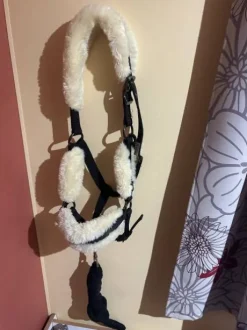 Licol à moumoute noir avec la longe