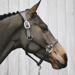 Licol anatomique en cuir - Kentucky