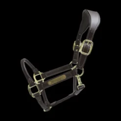 Licol anatomique en cuir - Kentucky