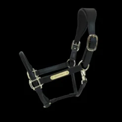 Licol anatomique en cuir - Kentucky