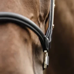 Licol anatomique en cuir - Kentucky